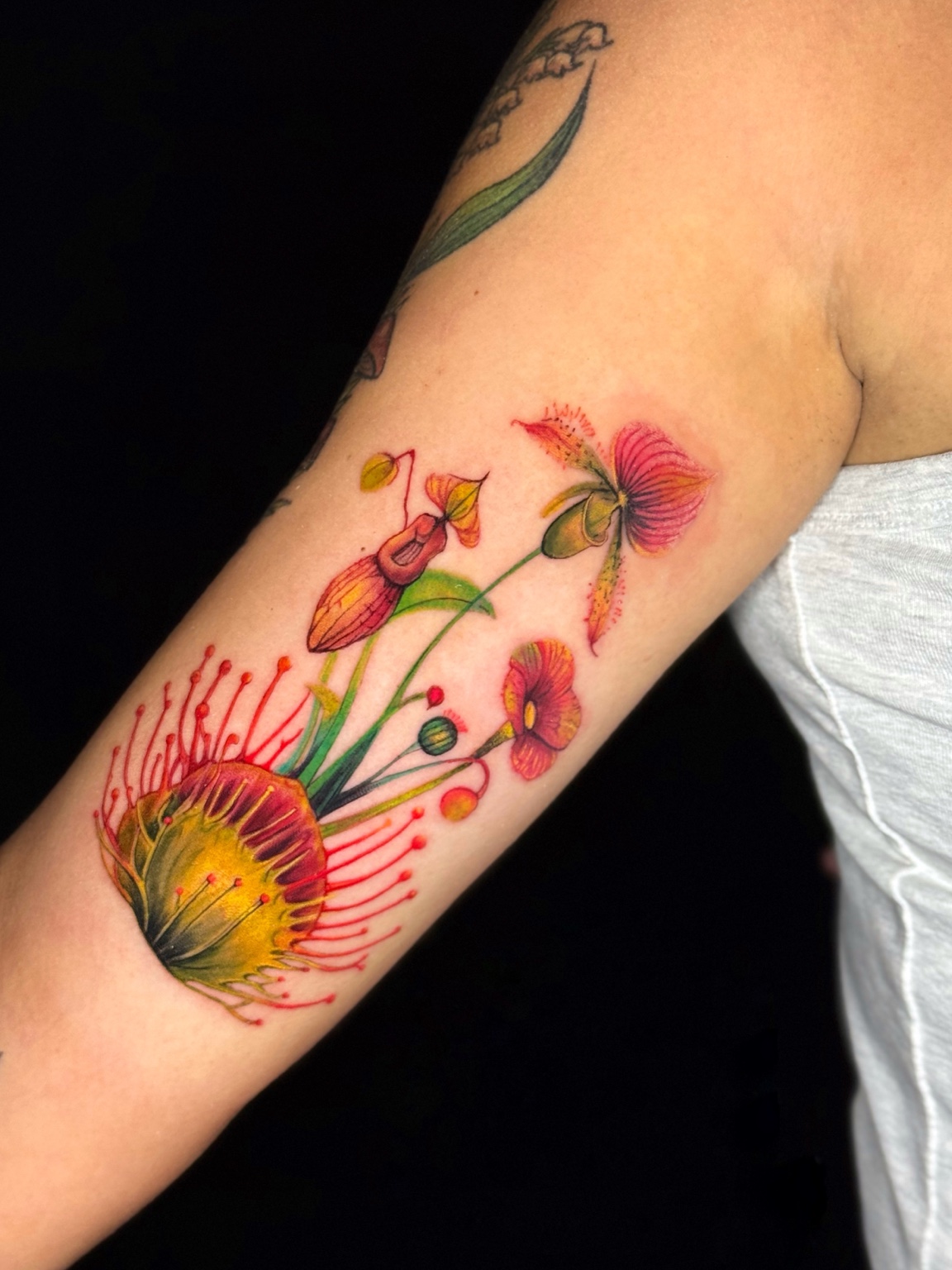 Color Botanical tattoo by ALEX Q